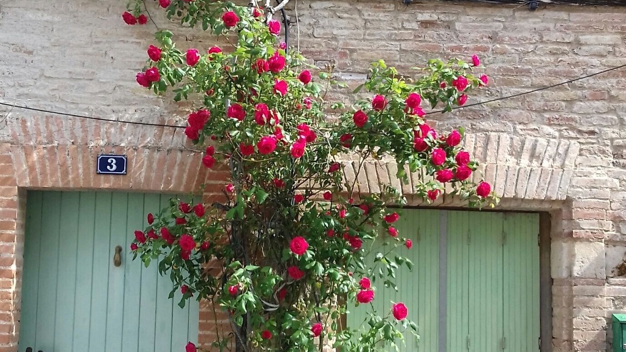 Photo of Outdoor in Molieres