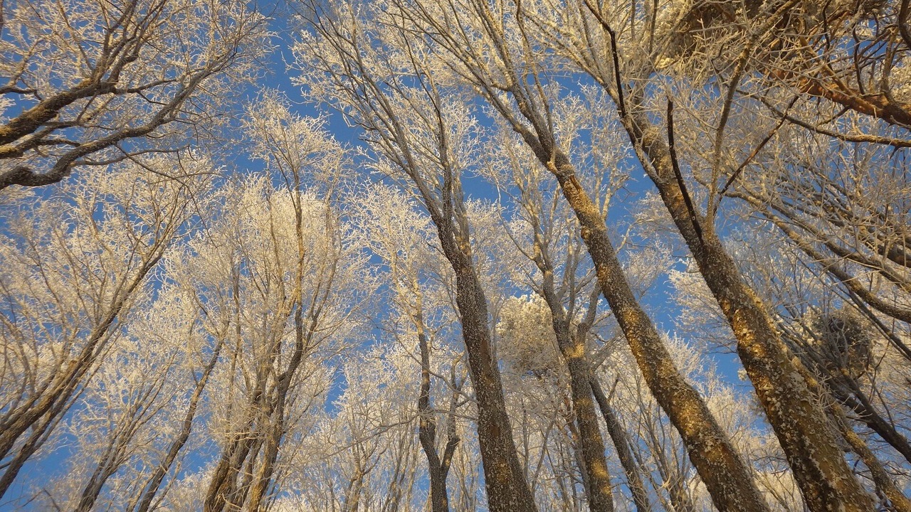 Photo of Outdoor in Lapoutroie