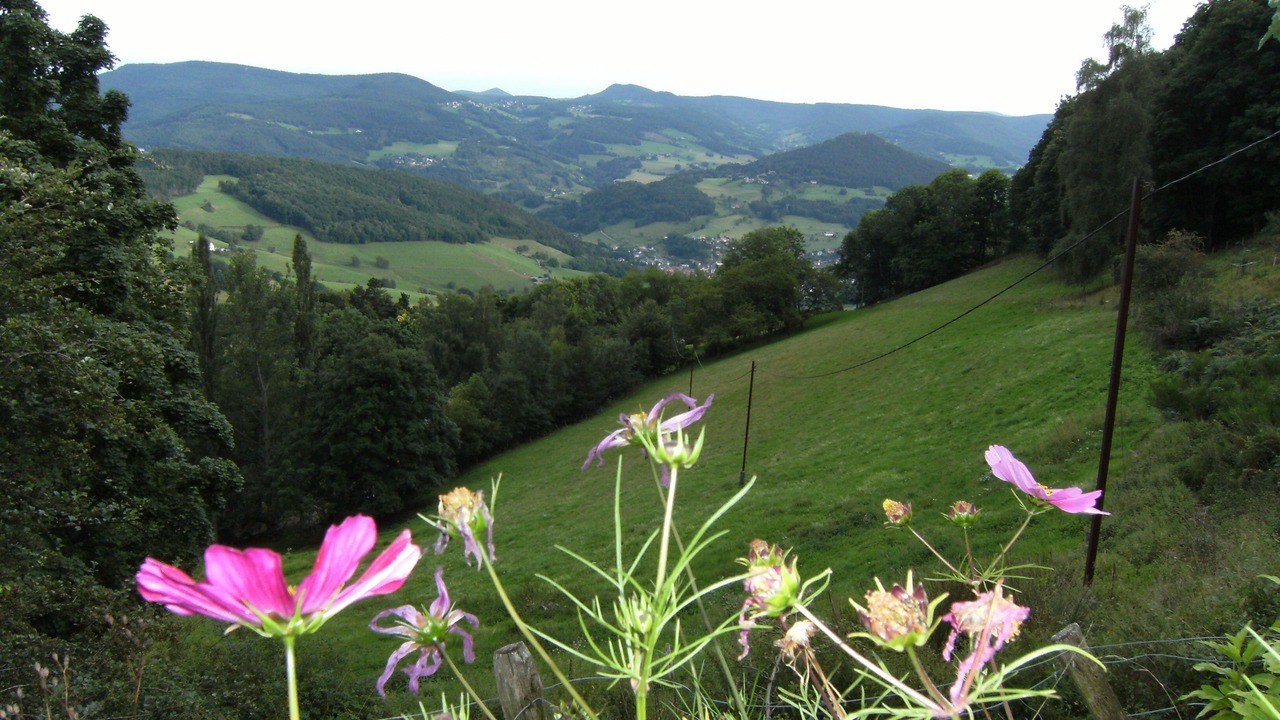 Photo of Outdoor in Lapoutroie