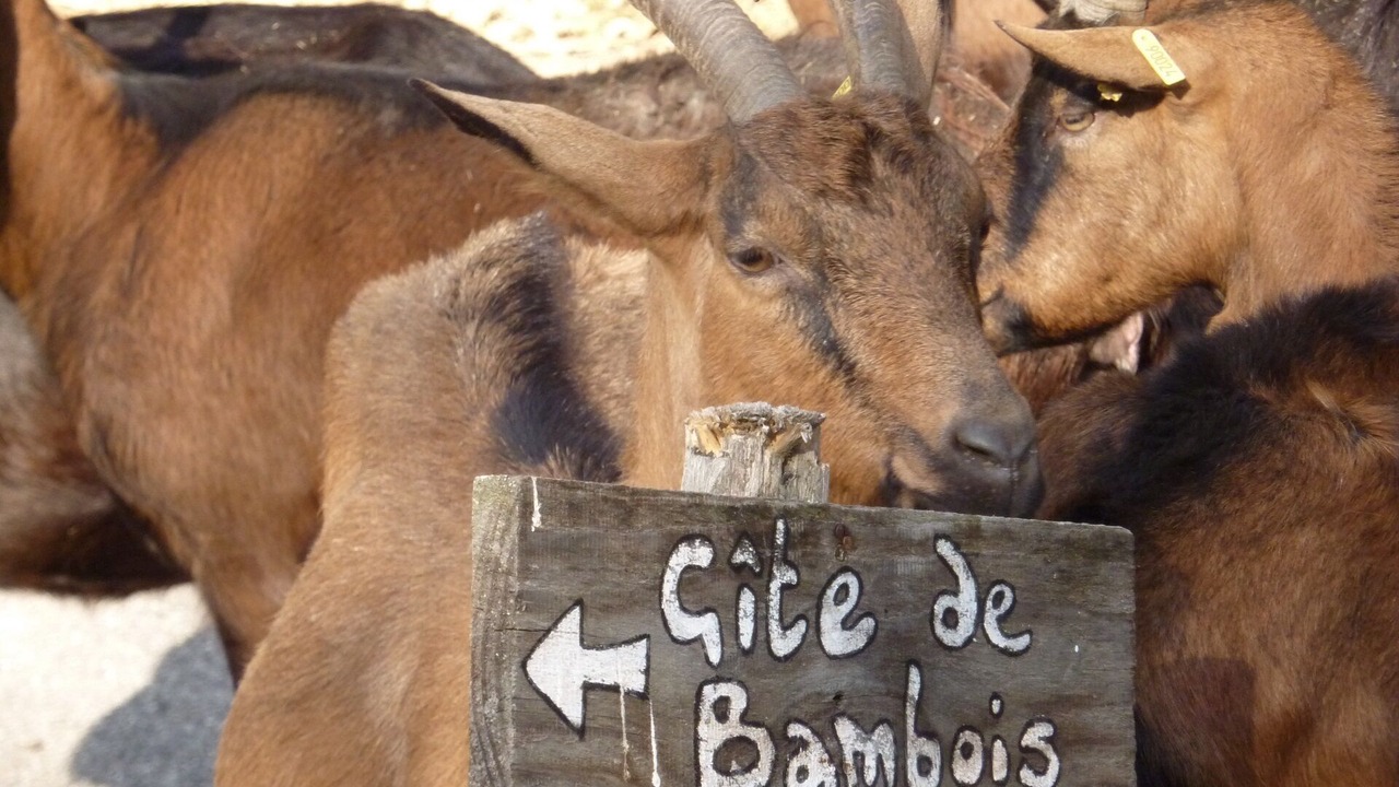 Photo of Others in Lapoutroie