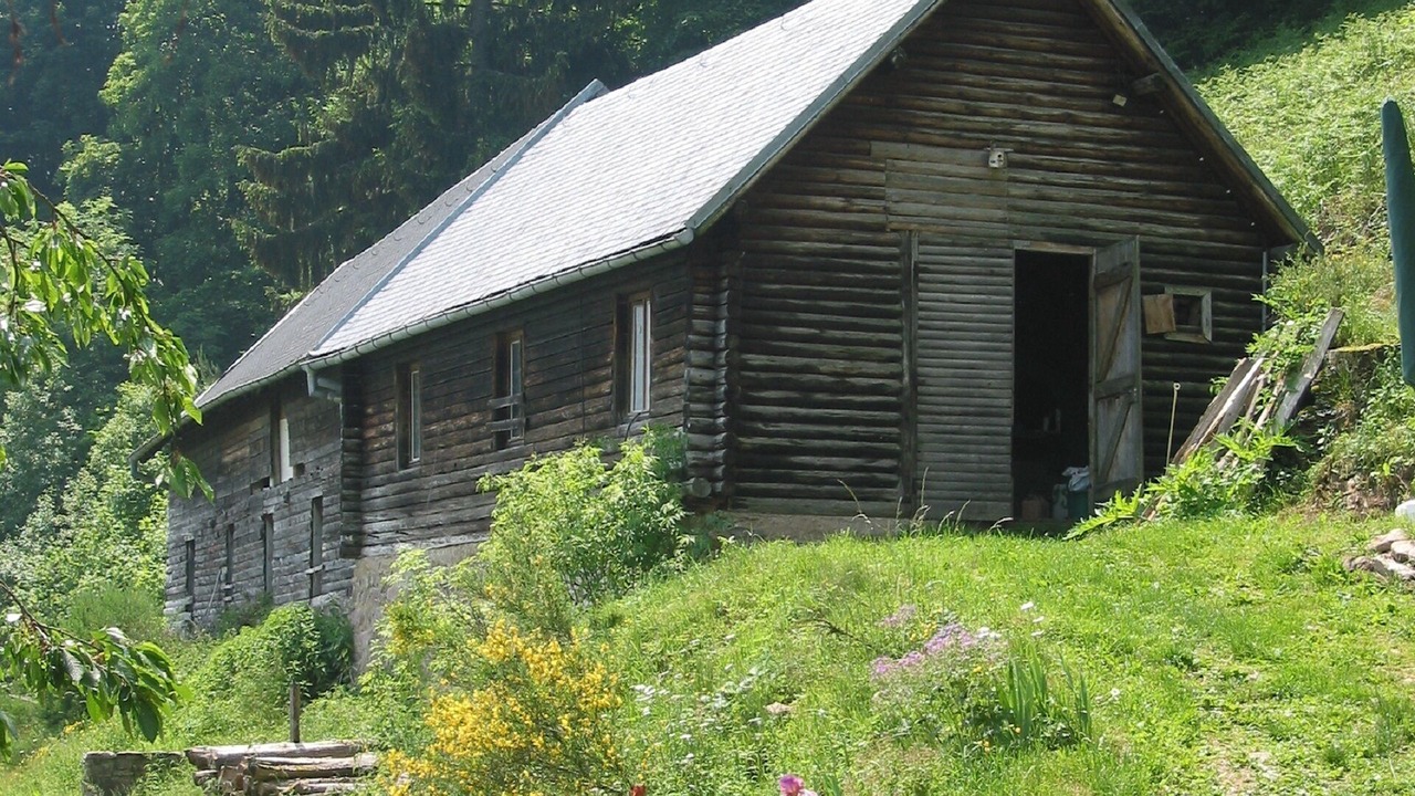 Photo of Outdoor in Lapoutroie