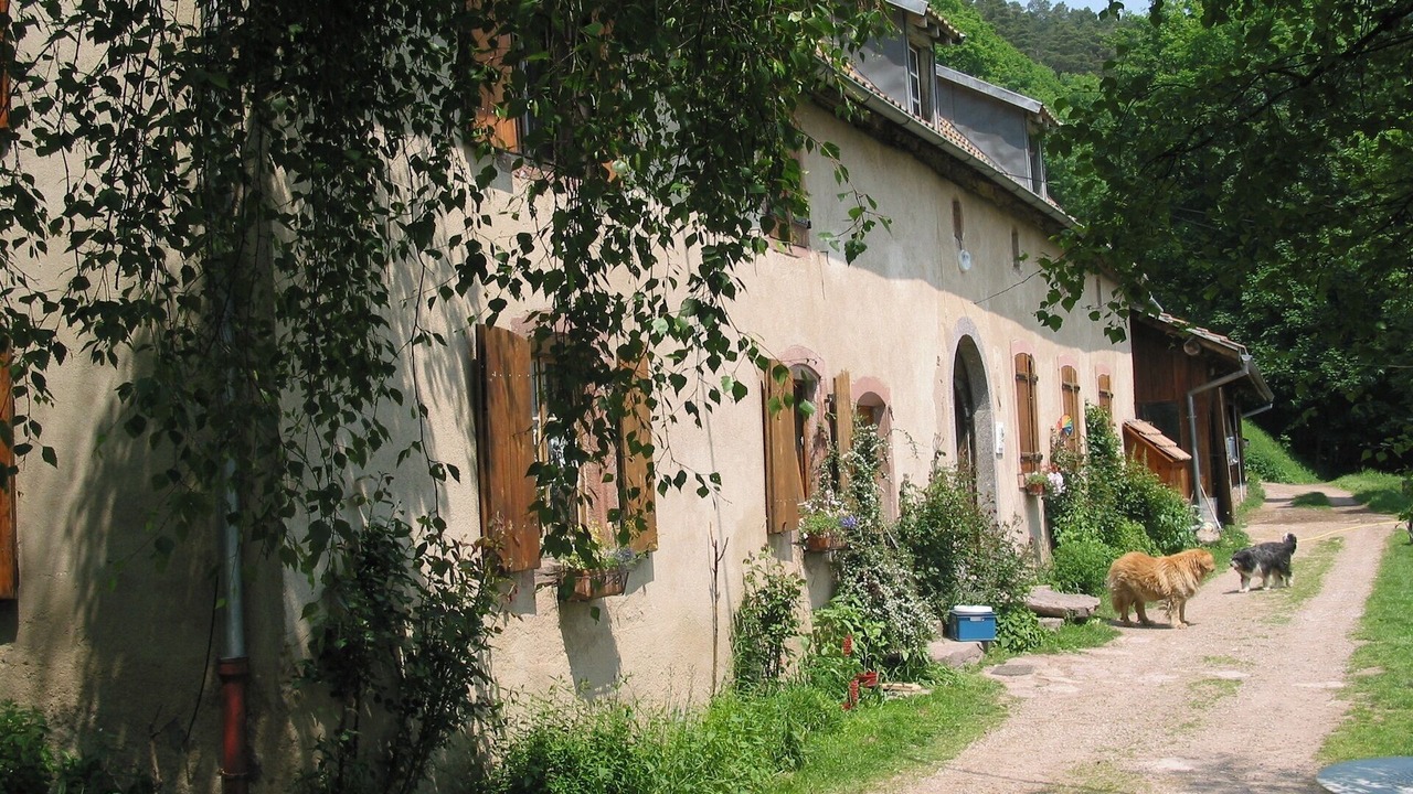 Photo of Outdoor in Lapoutroie