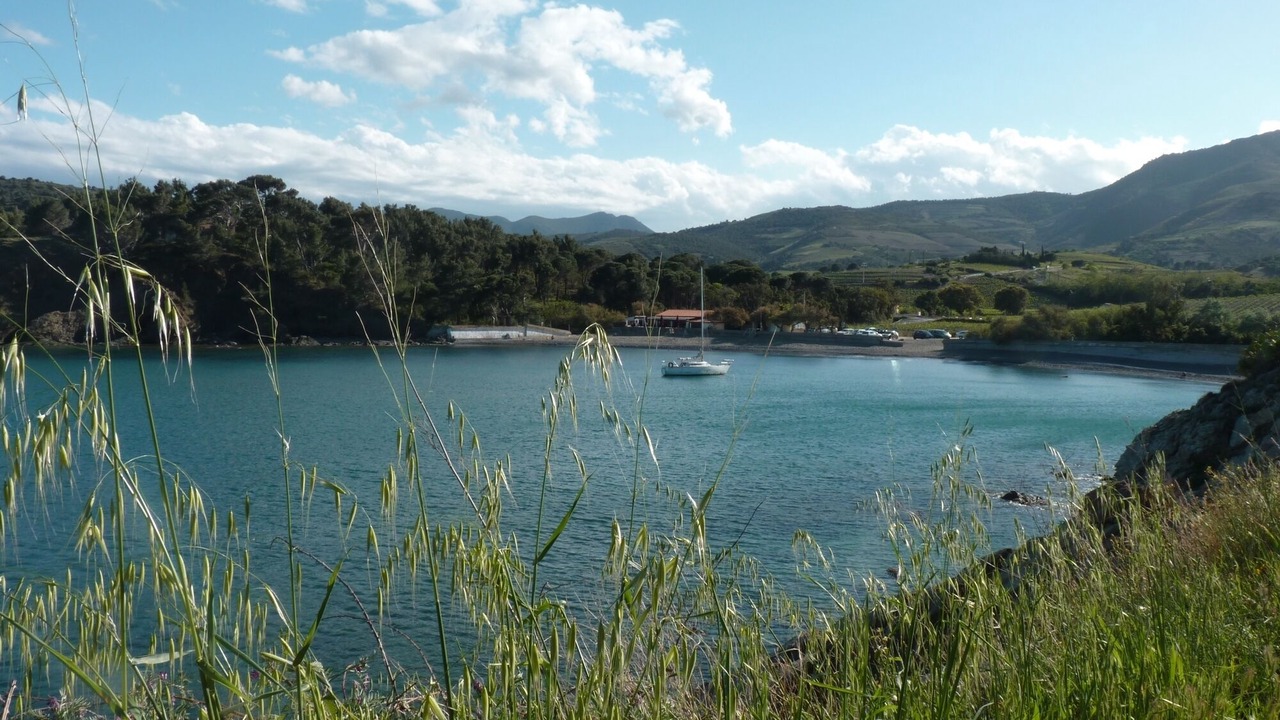Photo of Others in Banyuls-sur-Mer