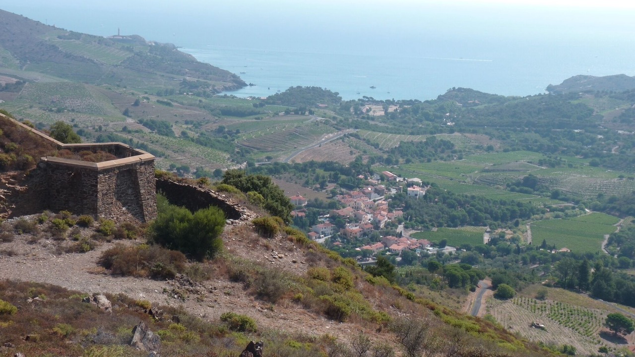 Photo of Others in Banyuls-sur-Mer