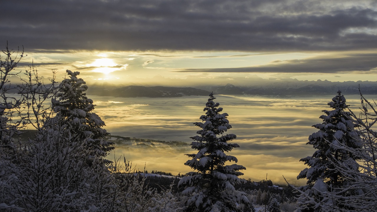 Photo of Others in Mijoux