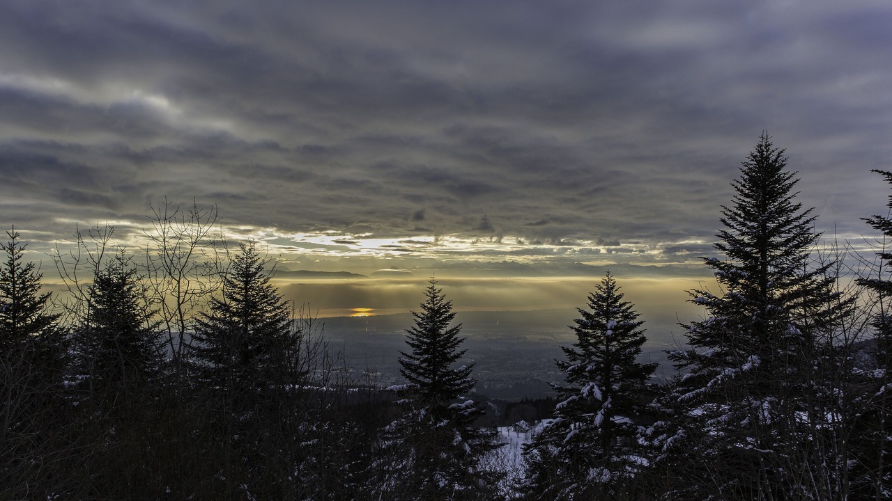 Photo of Others in Mijoux