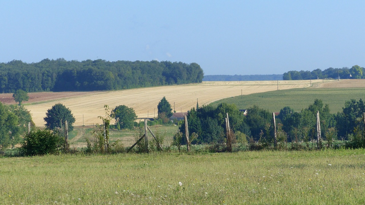 Photo of Others in Assay