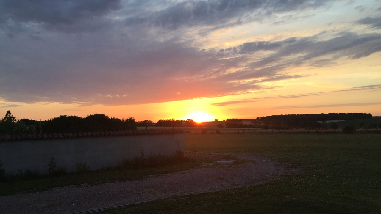 Photo of Others in Assay