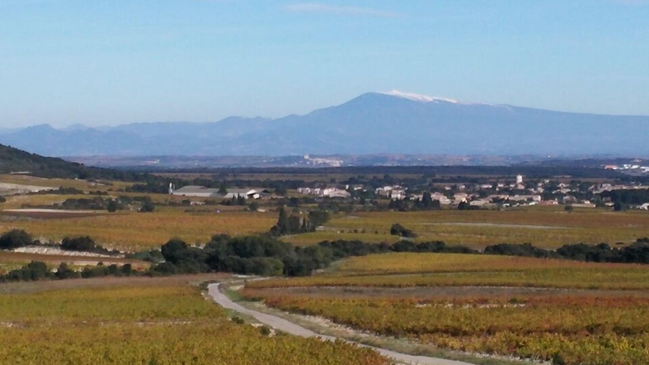 Photo of Outdoor in La Capelle-et-Masmolene