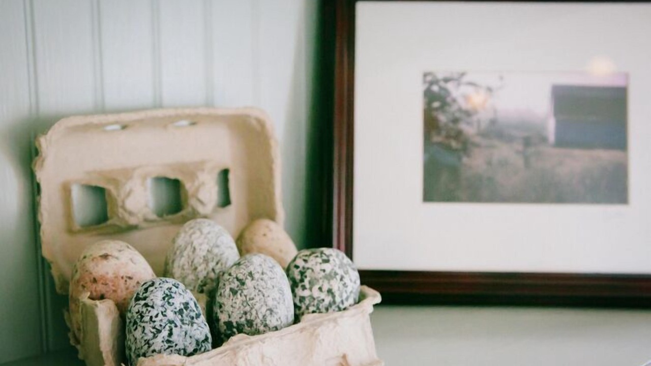 Photo of Others in Olga