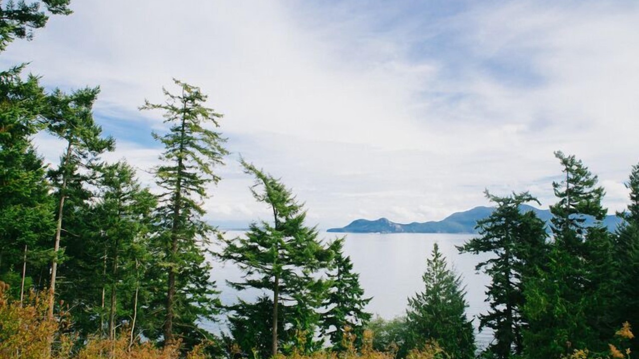 Photo of Outdoor in Olga