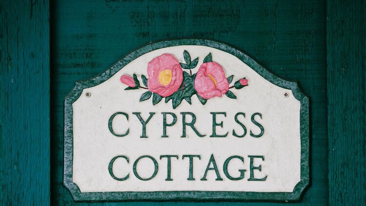 Photo of Others in Olga