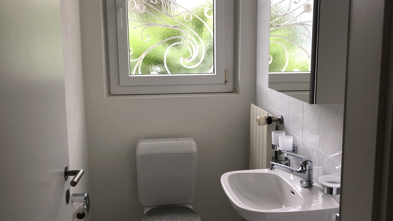 Photo of Bathroom in Bissone