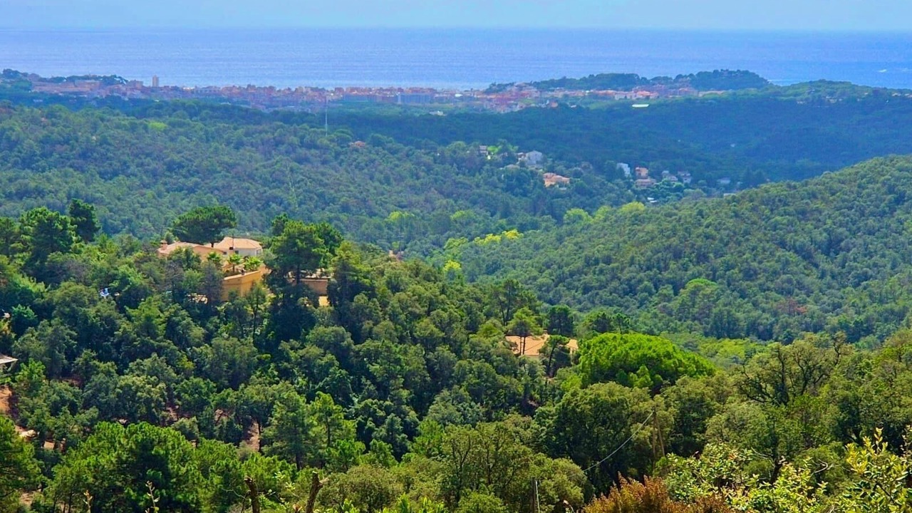 Photo of Others in Lloret de Mar