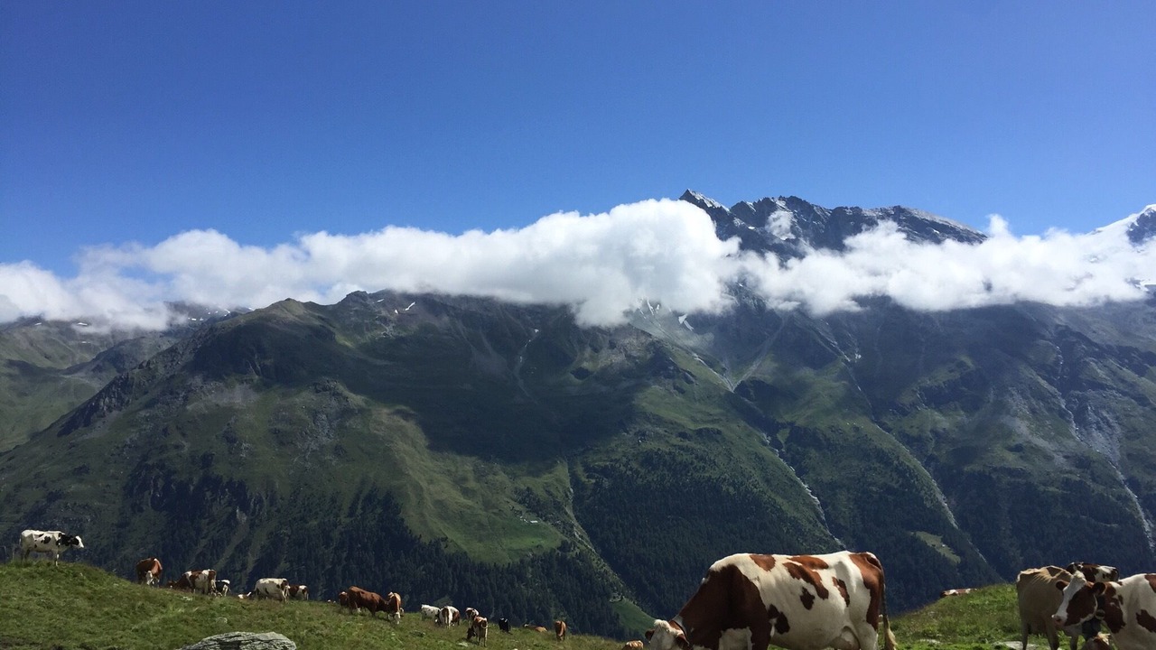 Photo of Outdoor in Zinal