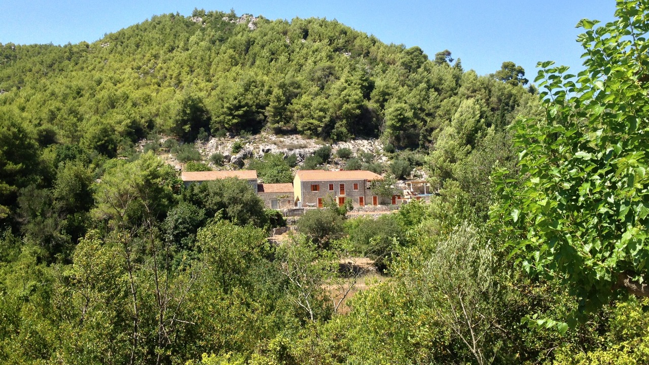 Photo of Outdoor in Broce