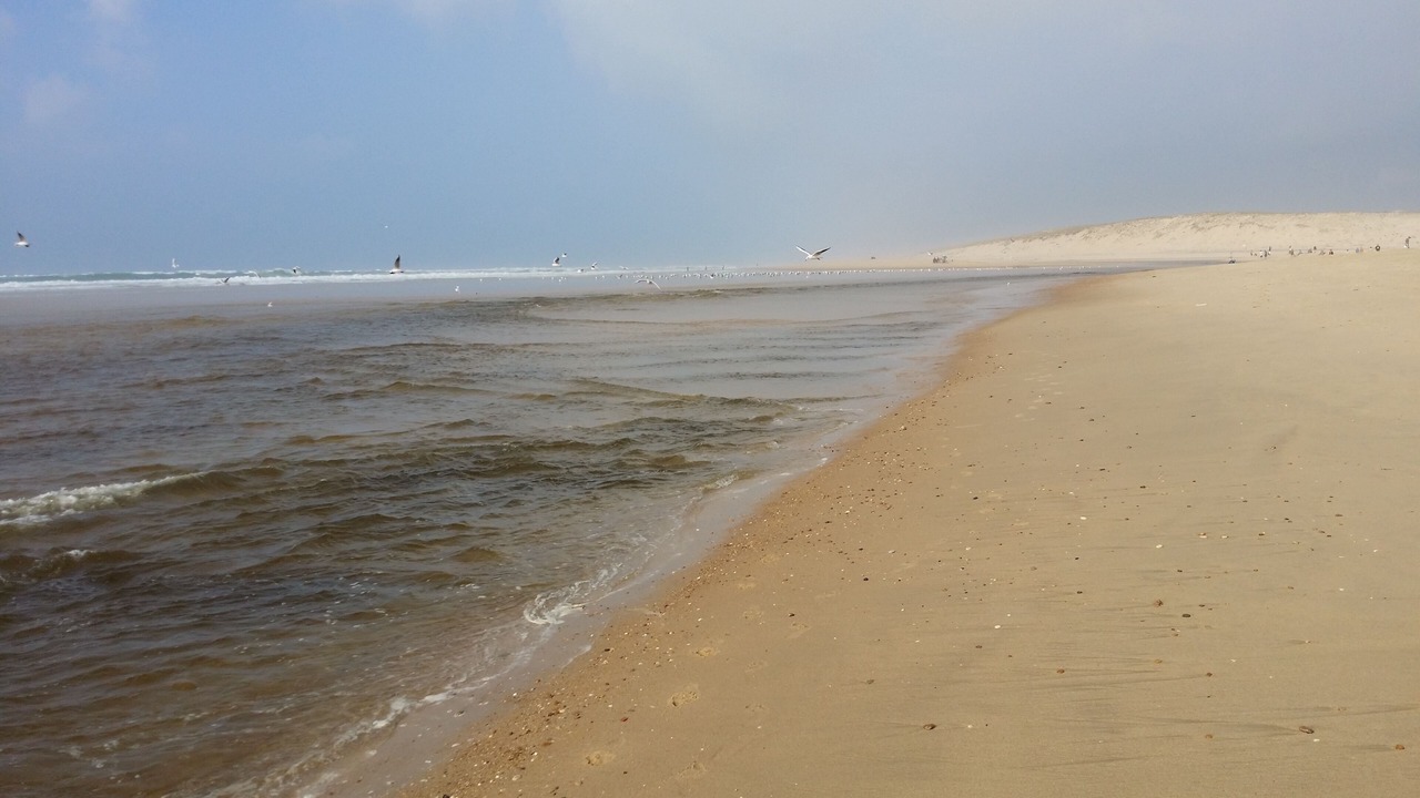 Photo of Others in Moliets-et-Maa