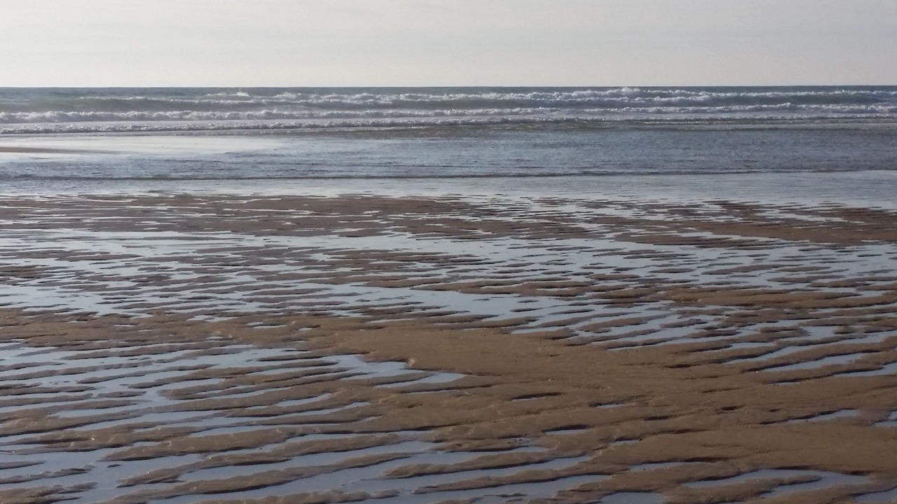 Photo of Others in Moliets-et-Maa