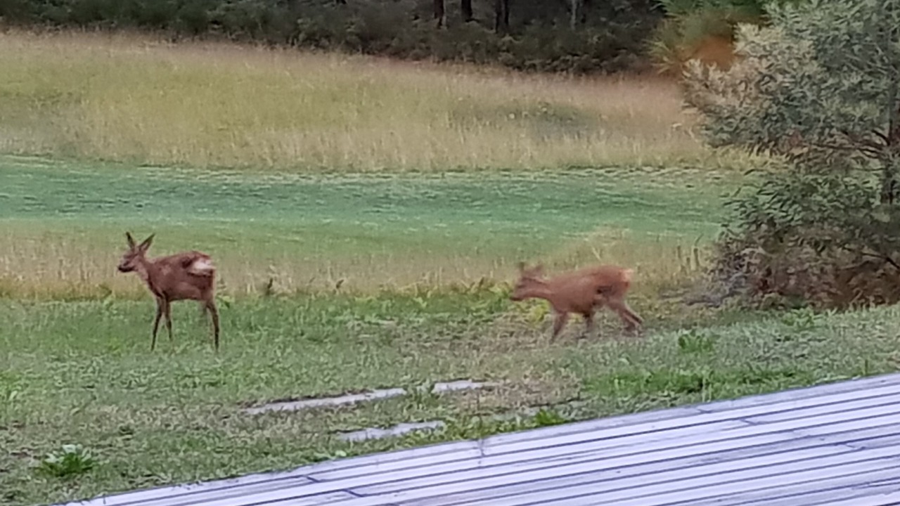 Photo of Outdoor in Moliets-et-Maa