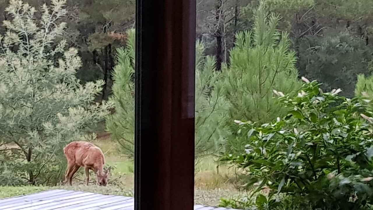 Photo of Others in Moliets-et-Maa