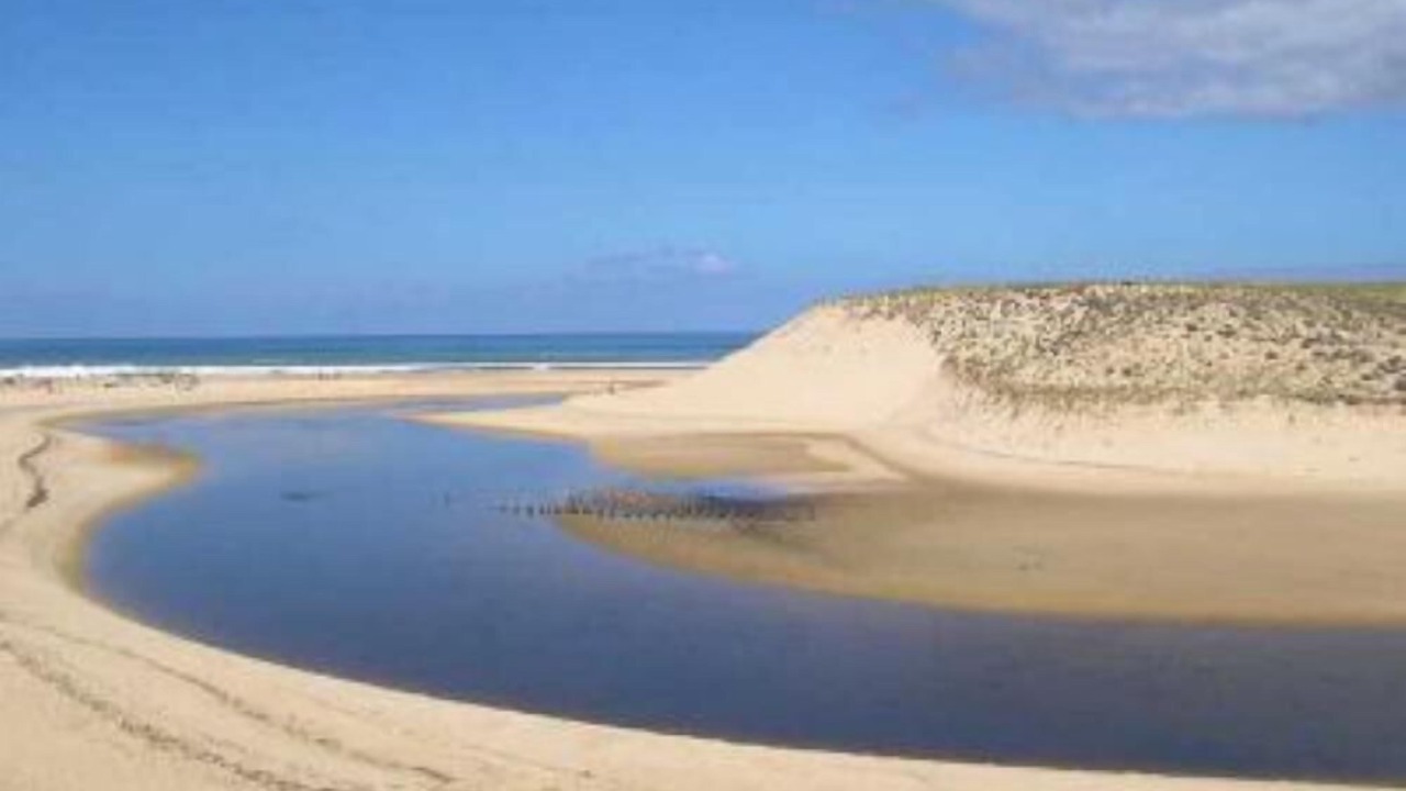 Photo of Others in Moliets-et-Maa