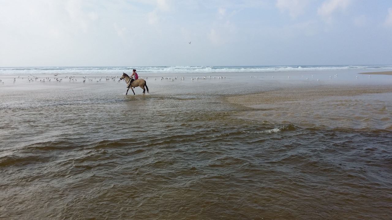 Photo of Others in Moliets-et-Maa