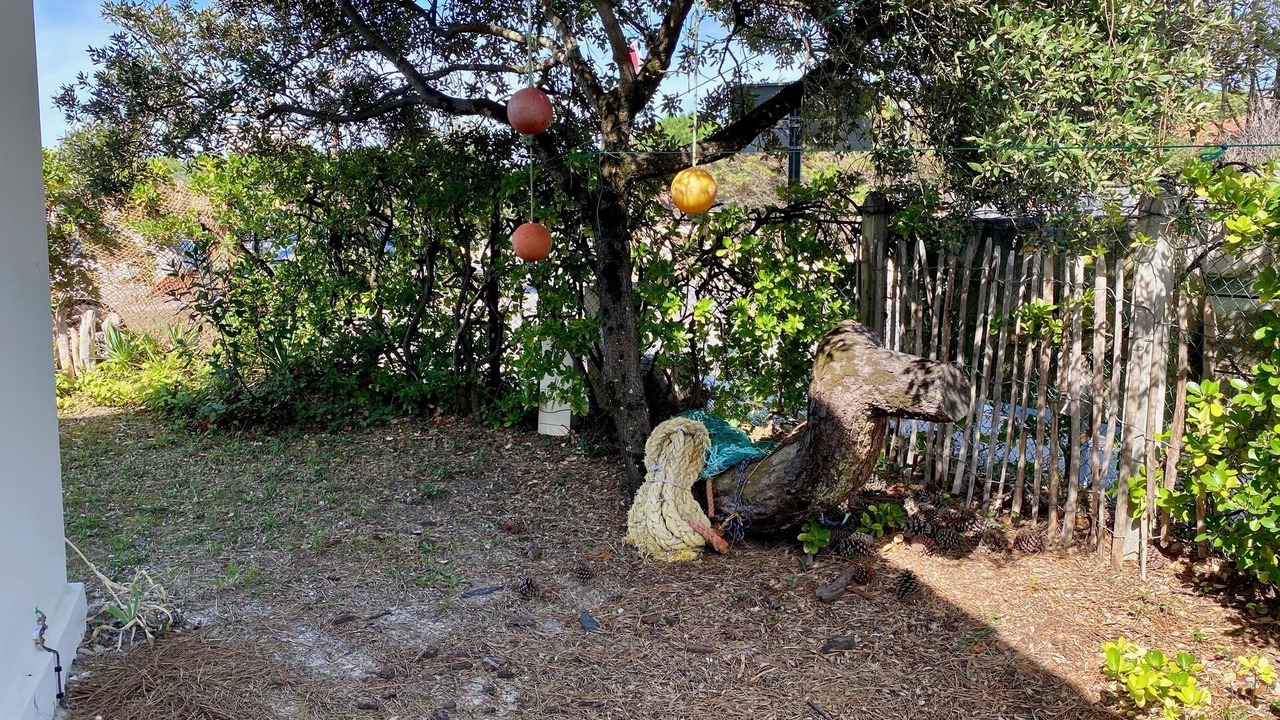 Photo of Outdoor in Hourtin-Plage