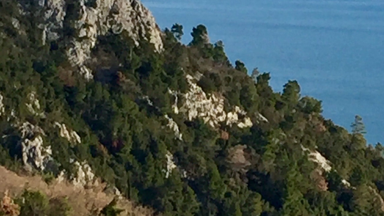 Photo of Outdoor in Medveja