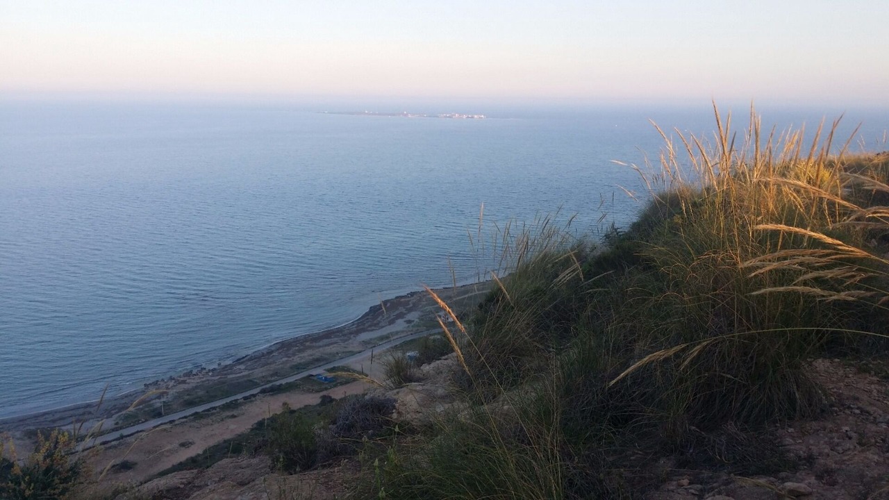 Photo of Others in Monte Faro