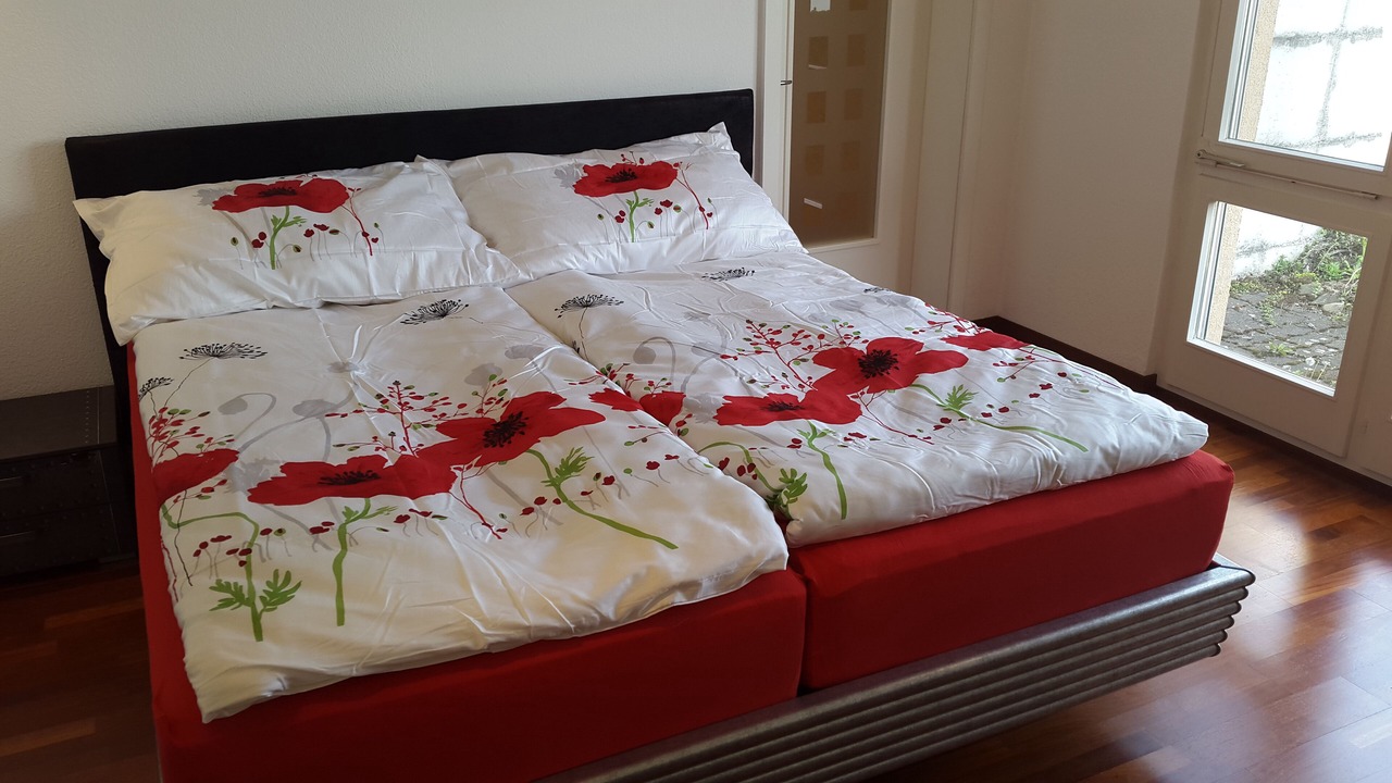 Photo of Bedroom in Weggis