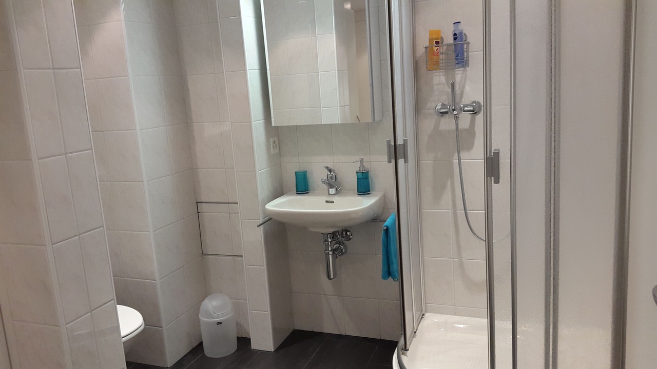 Photo of Bathroom in Weggis