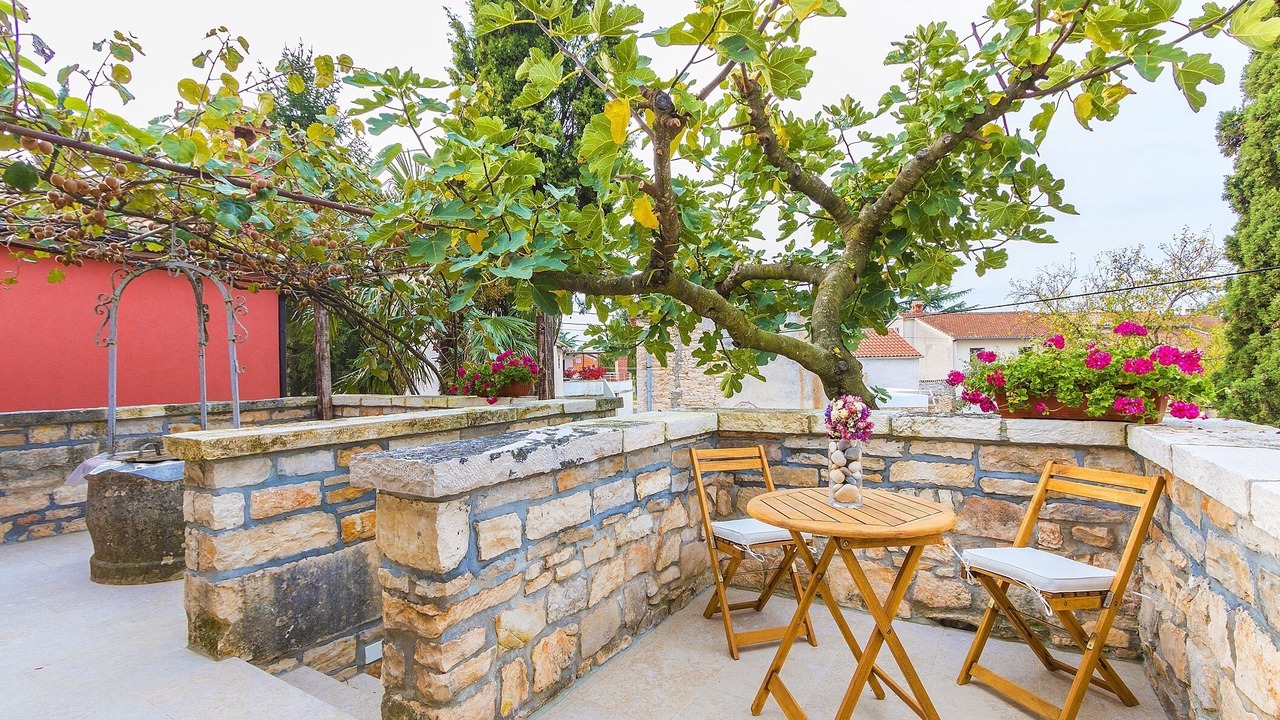 Photo of Outdoor in Orbanici