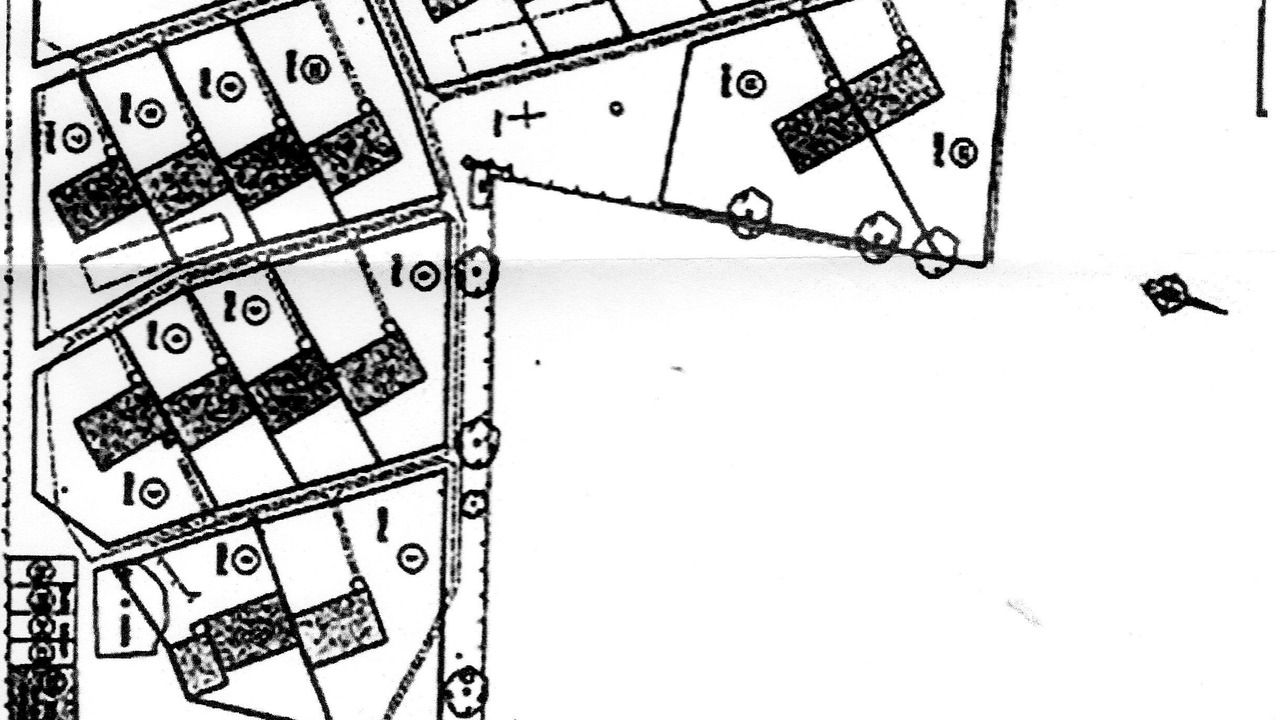 Photo of Others in Asnelles