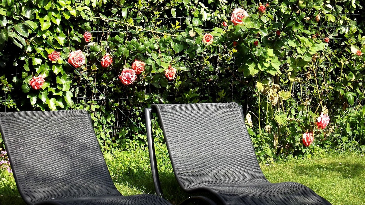 Photo of Outdoor in La Turballe
