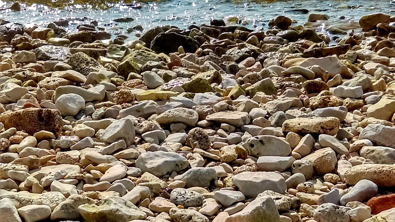 Photo of Others in Đuba