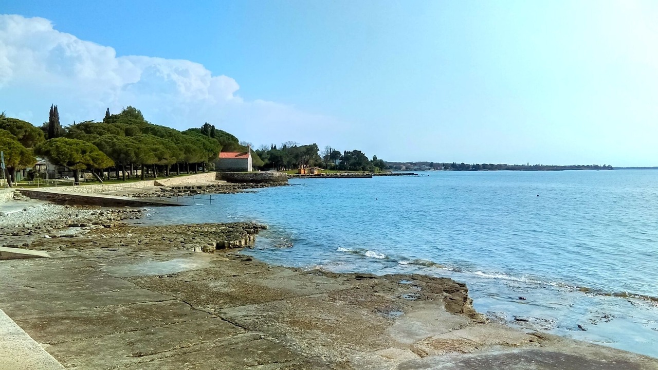 Photo of Others in Đuba