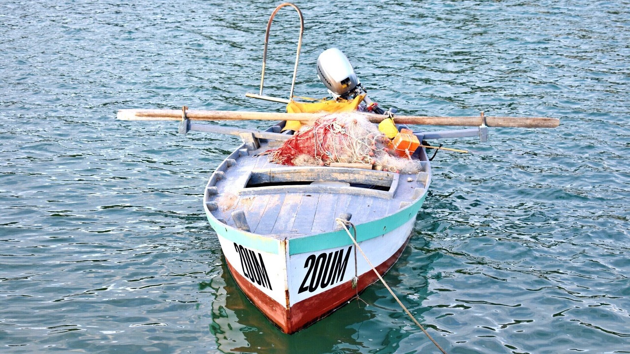 Photo of Others in Đuba