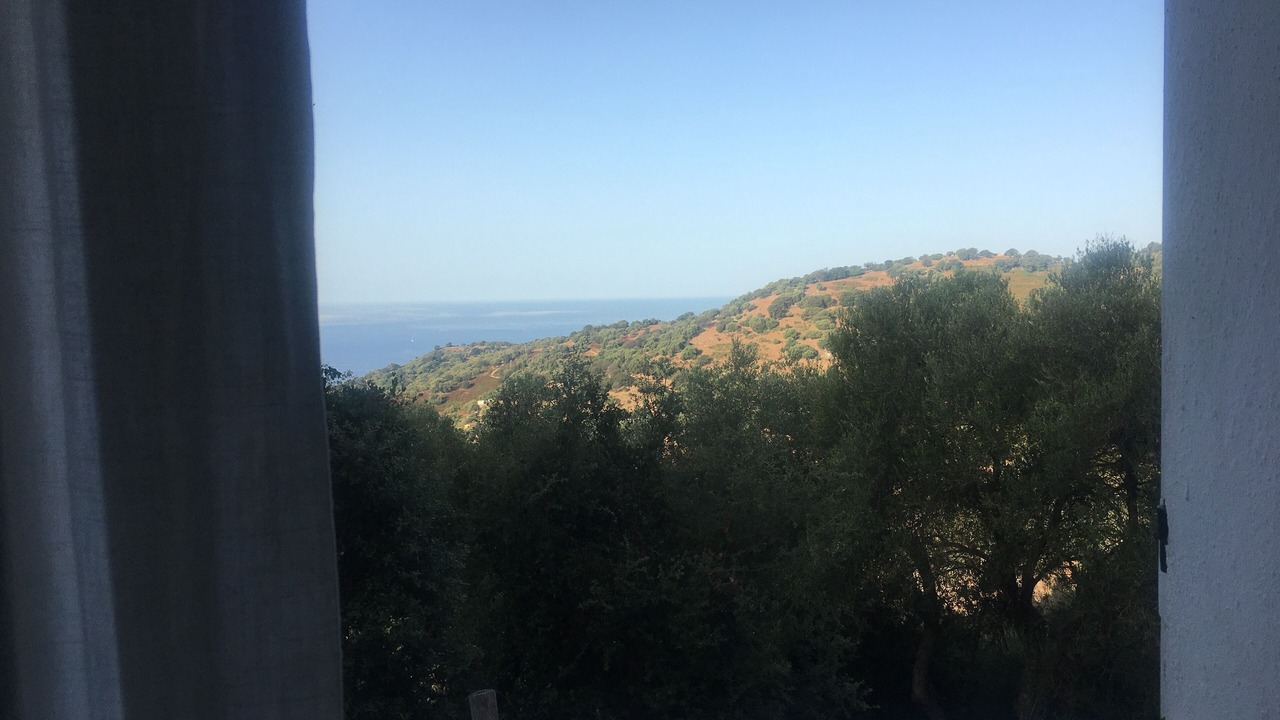 Photo of Others in Cargese