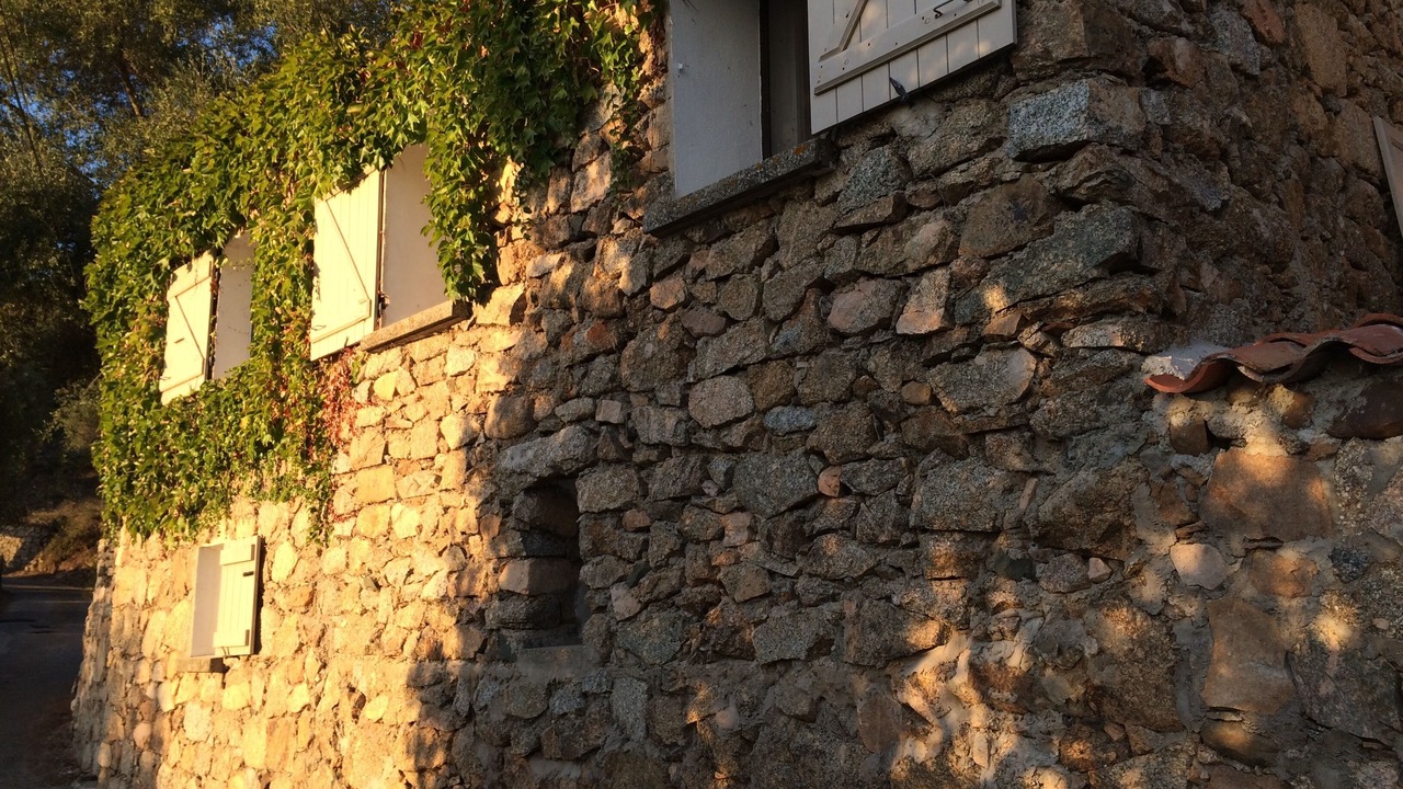 Photo of Outdoor in Cargese