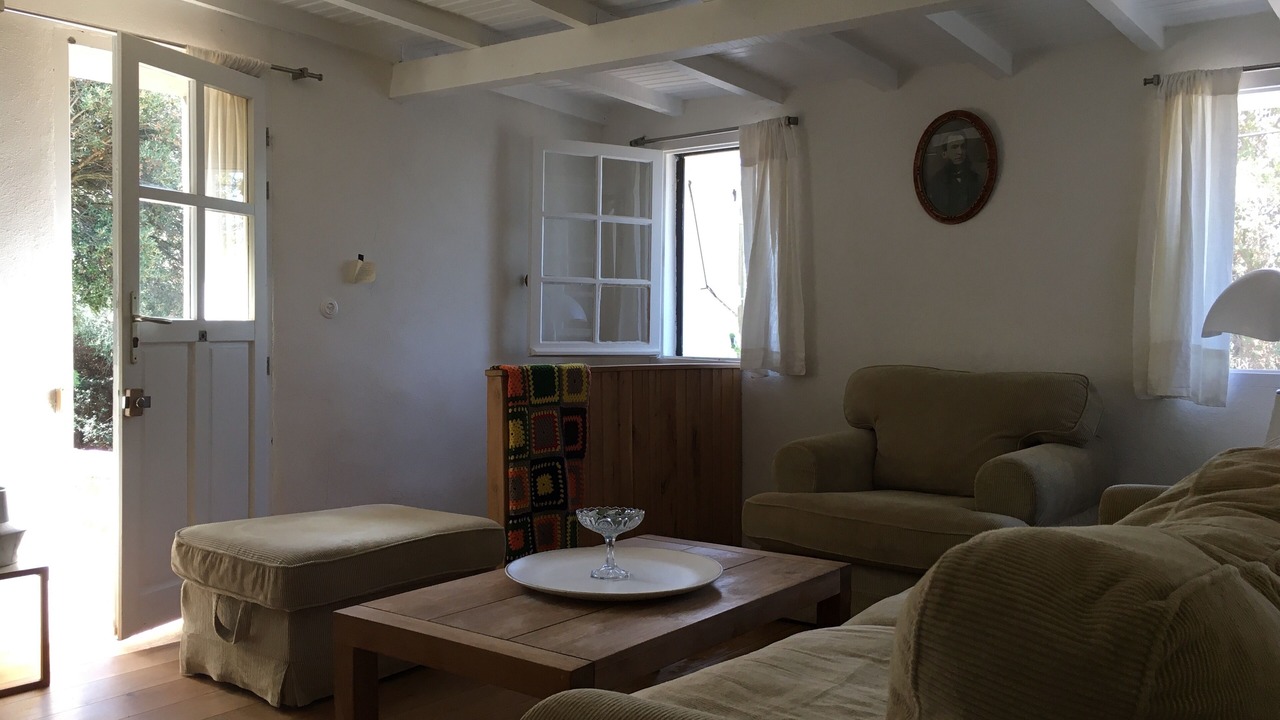 Photo of Livingroom in Cargese