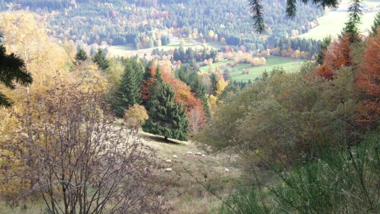 Photo of Others in Plainfaing