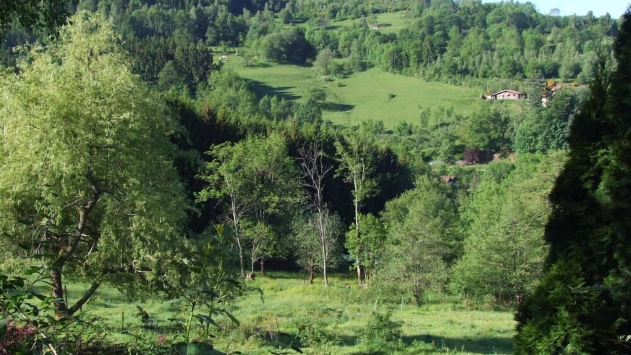 Photo of Others in Plainfaing
