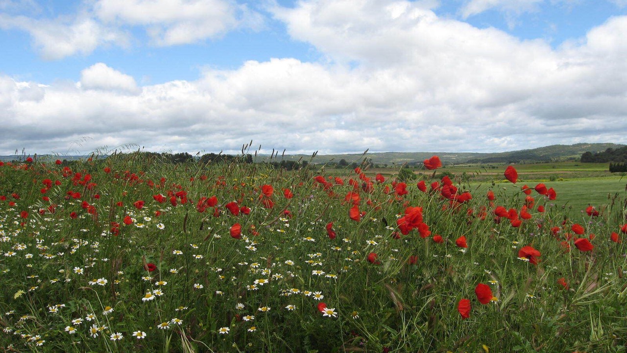 Photo of Outdoor in Olonzac