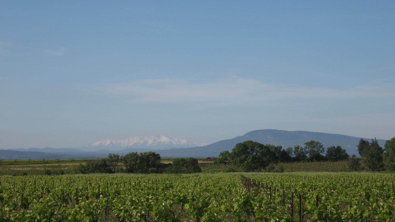 Photo of Outdoor in Olonzac