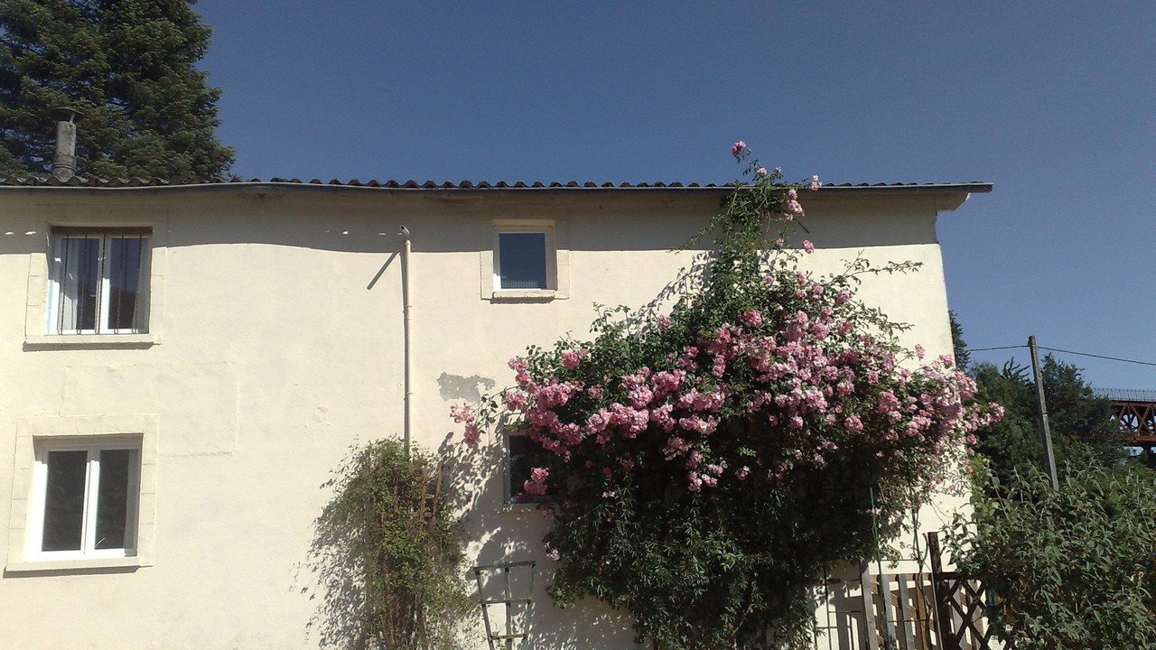 Photo of Others in Vouvant