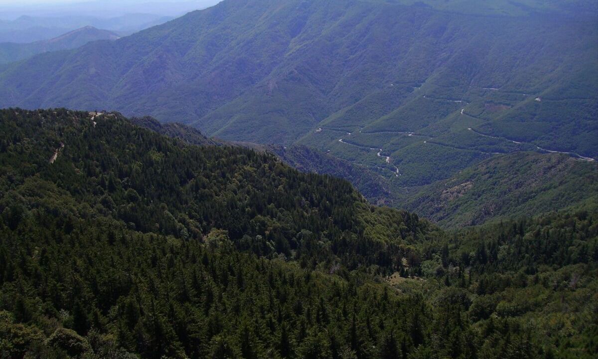 Photo of Others in Chassiers