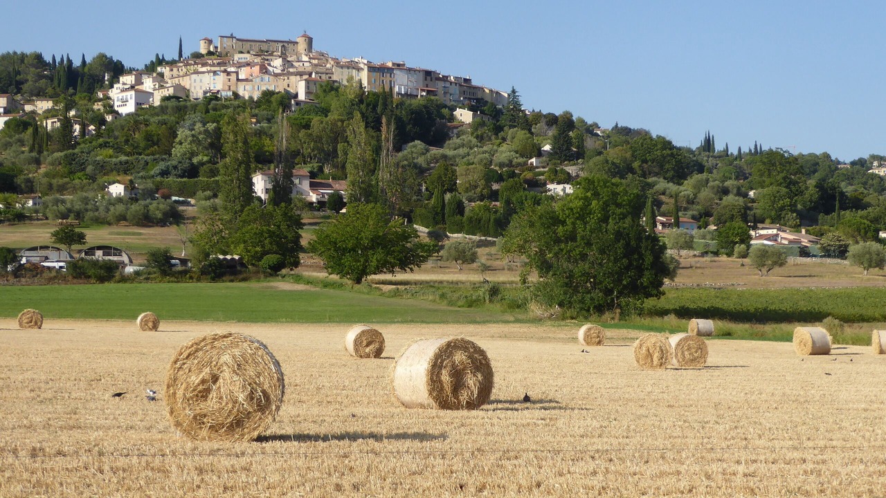 Photo of Others in Callian