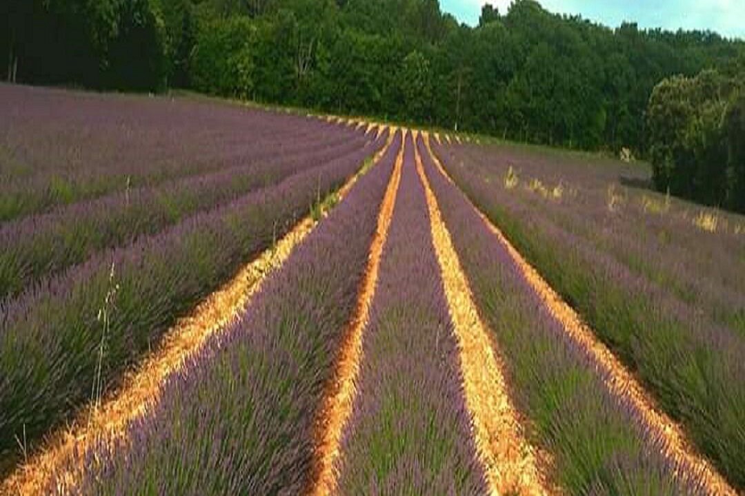 Photo of Outdoor in Grillon