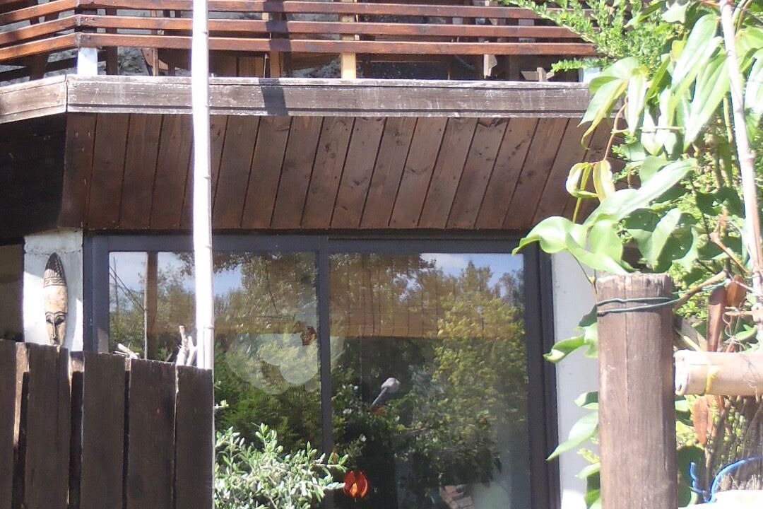 Photo of Outdoor in Saint-Etienne-de-Chigny