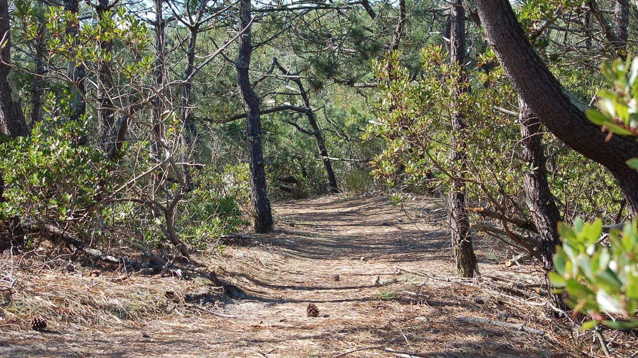 Photo of Outdoor in Le Canon